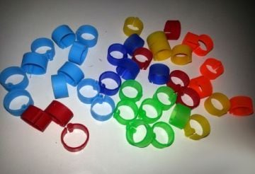 Tavuk Ayak Halkası - 18 mm - 50 adet