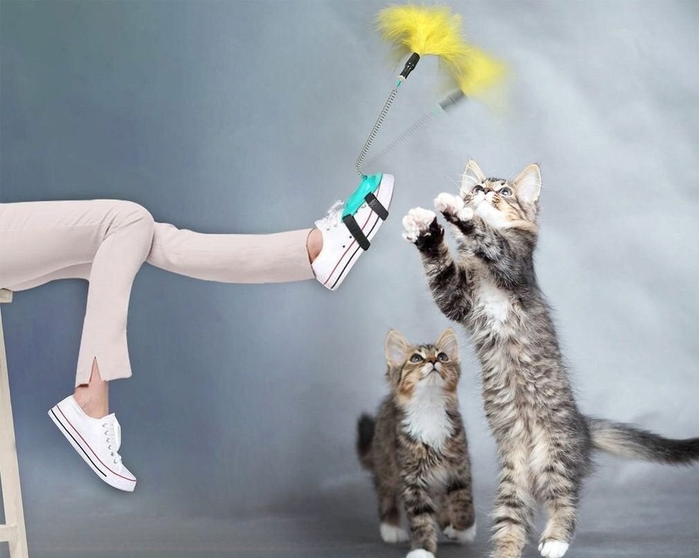 Ayağa Takılan Olta Kedi Oyuncağı