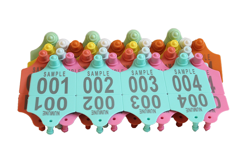 Büyükbaş Küpesi (BB100) - Metal Uçlu