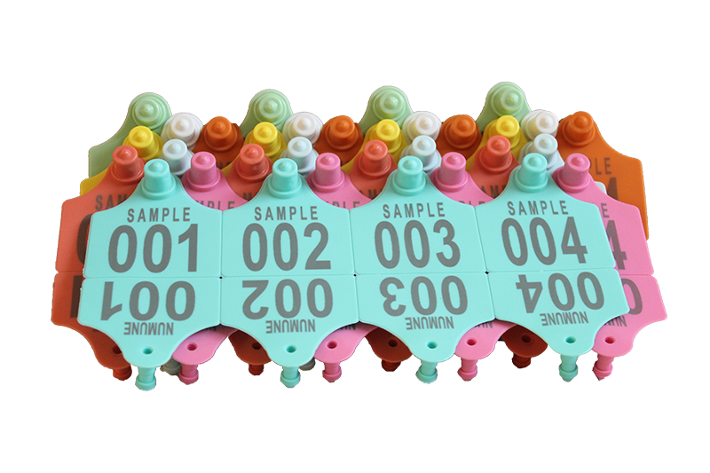 Büyükbaş Küpesi (BB100) - Metal Uçlu