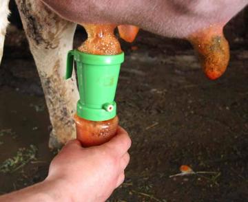 Sağım Öncesi Köpüklü - Vitalic ViFoam60 - 21 Litre