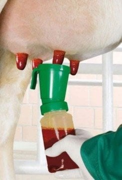 Sağım Sonrası İyotlu Meme Filmi - Vitalic ViFilm50 - 21 Litre