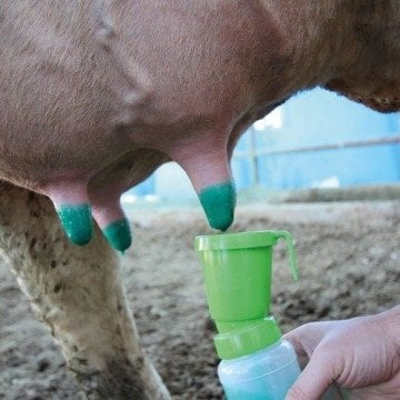 Sağım Sonrası Meme Kaplama Jeli - Vitalic VJel10 - 5 Litre