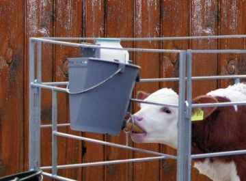 Buzağı Emzirme Kovası - 5 Emzikli - 8 Litre İthal Emzik