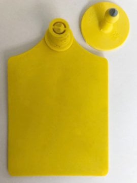 Büyükbaş Küpesi - XL (BBXL.100) - Metal Uçlu