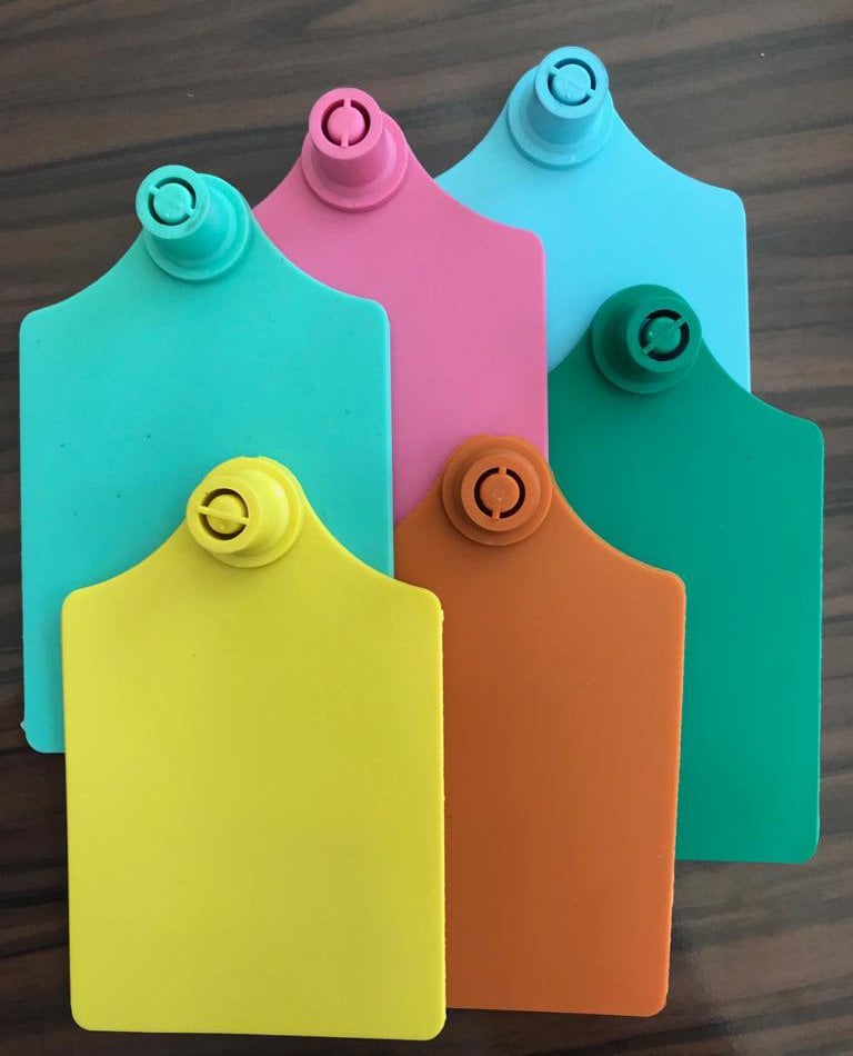 Büyükbaş Küpesi - XL (BBXL.100) - Metal Uçlu