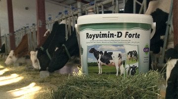 Royal Royvimin D Forte 25 kg - Kova